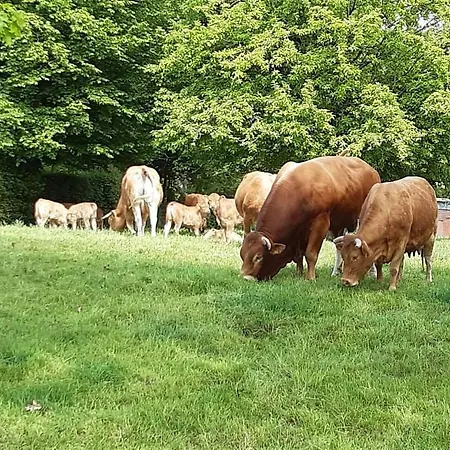 Σπίτι διακοπών Au Bocage Parfume La Cigaline