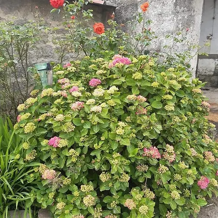 Σπίτι διακοπών Au Bocage Parfume La Cigaline Wirwignes